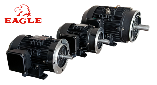 Motor Eléctrico Trifasico EAGLE Motor Eléctrico Trifasico EAGLE